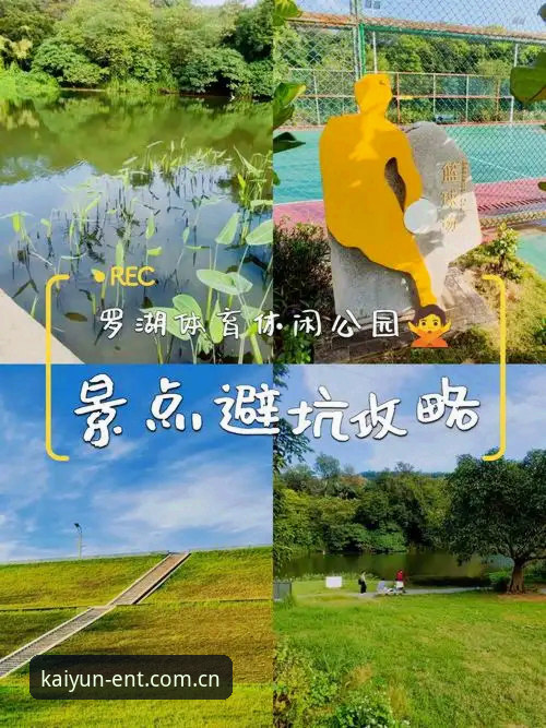 5个实用技巧助你找到云开体育平台最新地址，避坑指南全分享